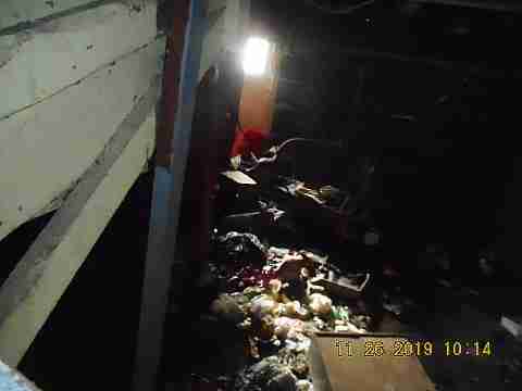 14394 Cruse (8)_m.jpg